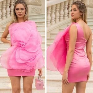 SIERRA DARIEN 3D Voluminous Organza Floral Pink Mini Dress Size XS
